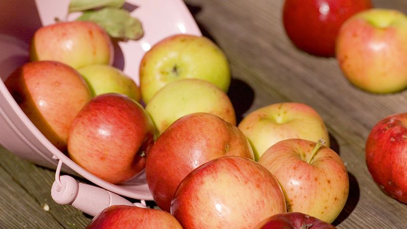 U jablek i brambor si obchod přihodí až 100 procent